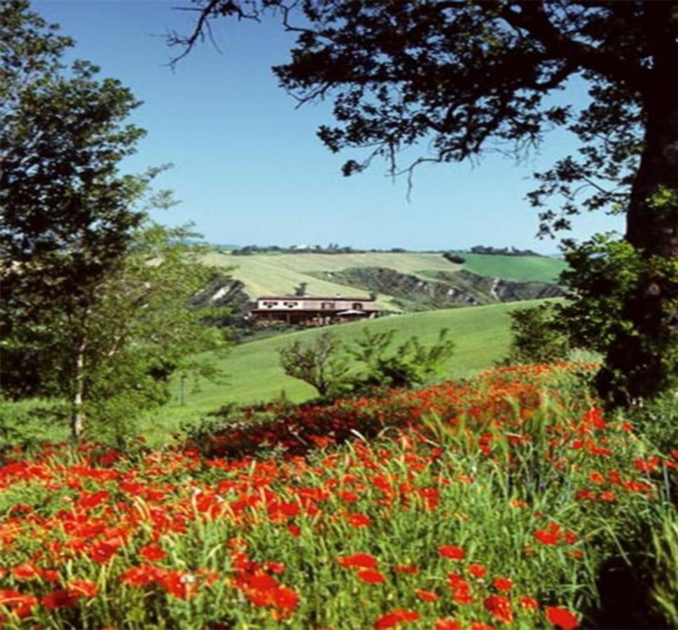 La Valle Del Sole Country House *